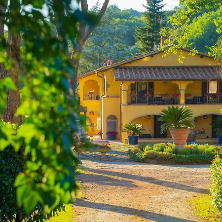 Villa Poggio Di Gaville Meleto Exteriör bild